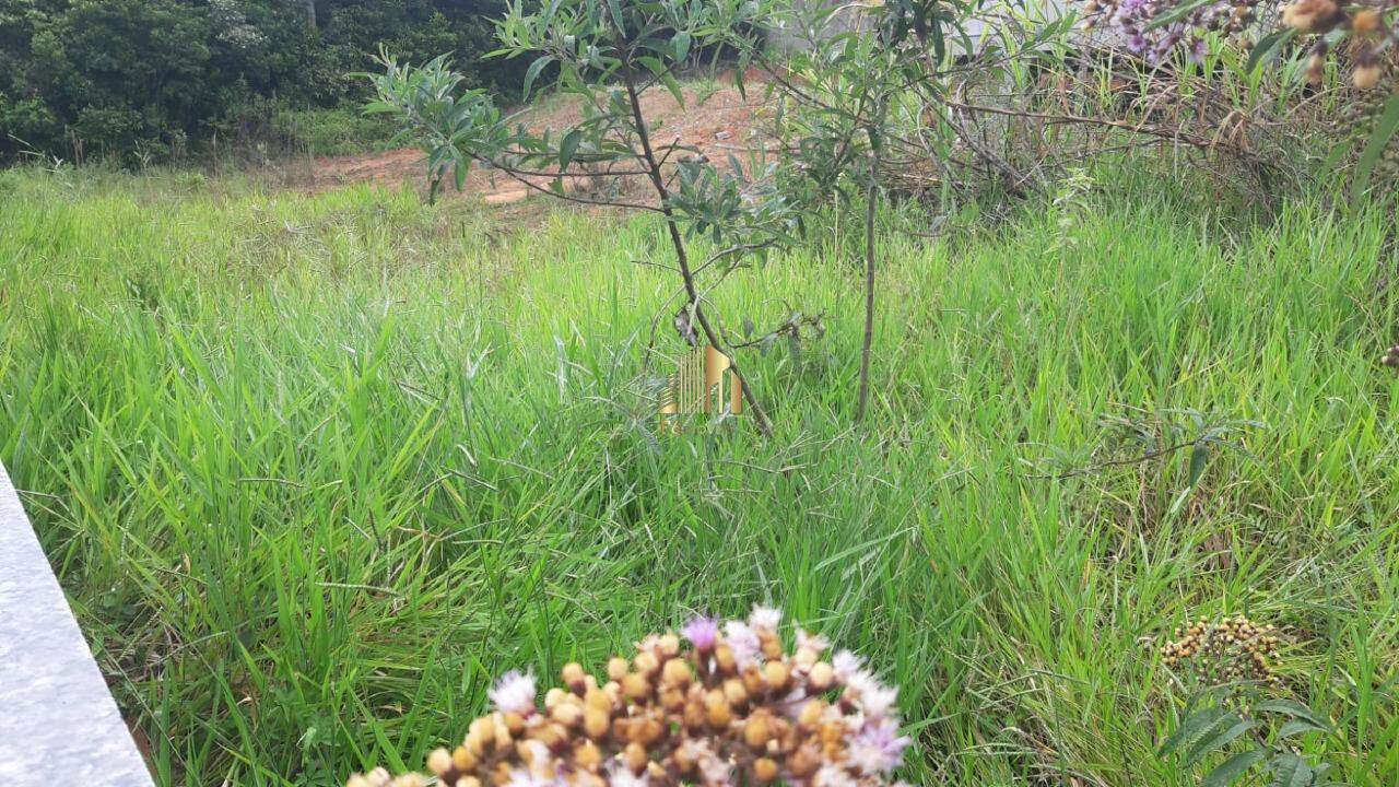 Terreno à venda, 200m² - Foto 6