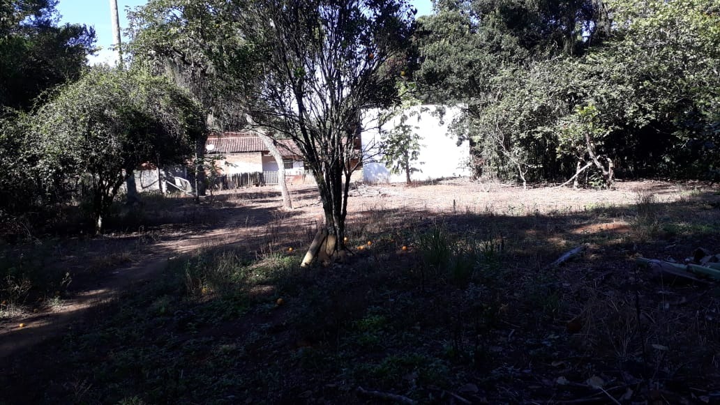 Chácara à venda no Bela Vista: 