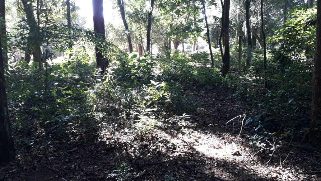 Chácara à venda no Bela Vista: 