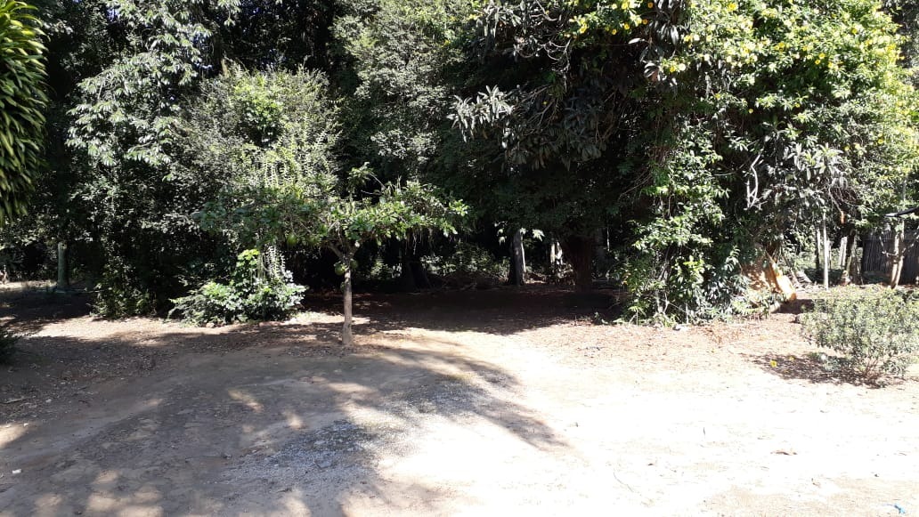 Chácara à venda no Bela Vista: 