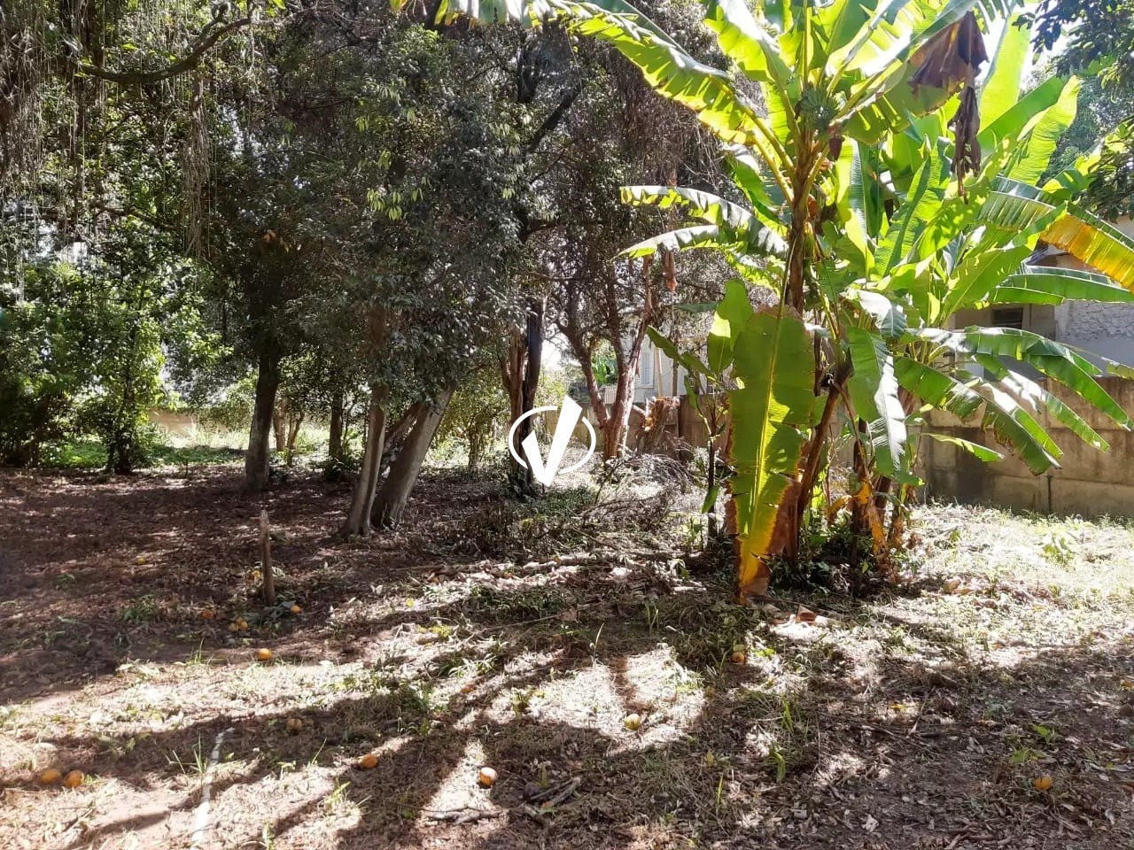 Casa à venda no Santana: 