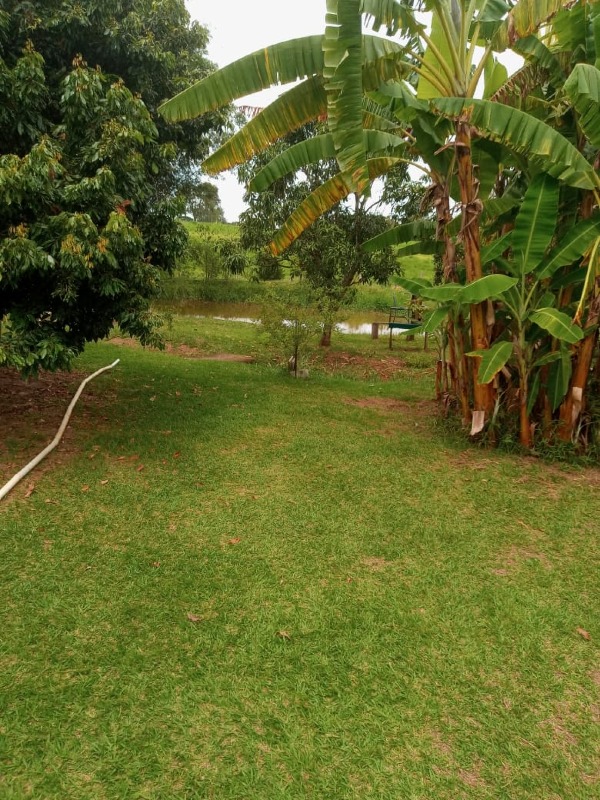 Chácara à venda no Goiabal: 