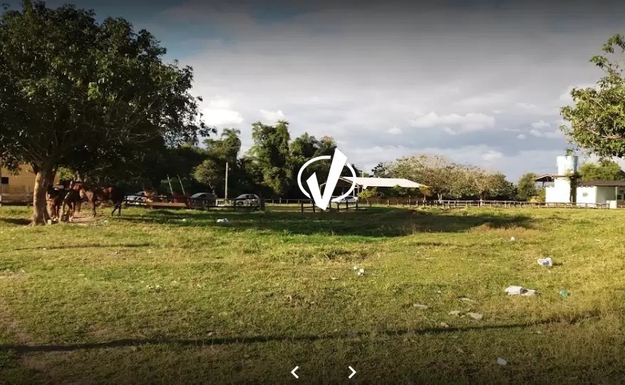 Sítio à venda no Vale das Flores: 