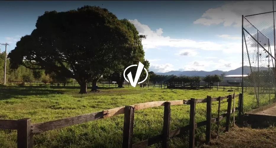 Sítio à venda no Vale das Flores: 