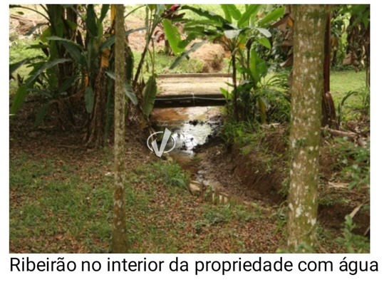 Sítio à venda no Ribeirão Grande: 