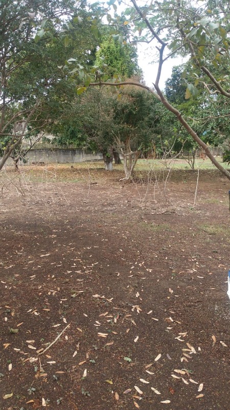 Lote à venda no Nossa Senhora do Perpétuo Socorro: 