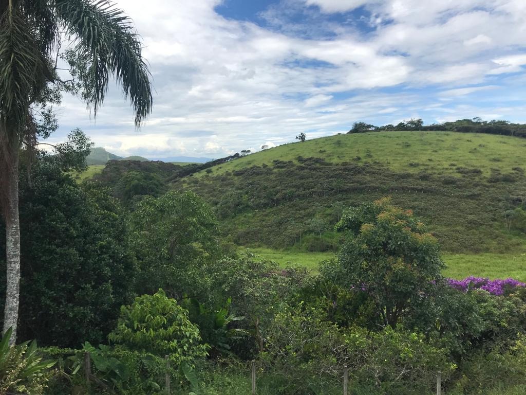 Chácara à venda no Alto do Piracuama: 