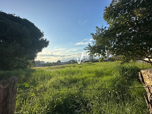 Lote à venda no Alto do Cardoso: 