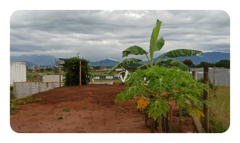 Lote à venda no Residencial e Comercial Cidade Jardim: 