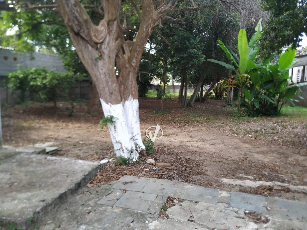 Lote à venda no Centro: 