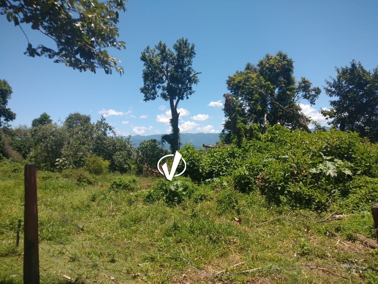 Lote à venda no Vila São Benedito: 