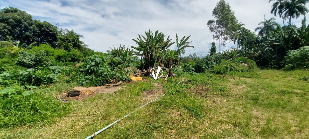 Lote à venda no Campinas: 