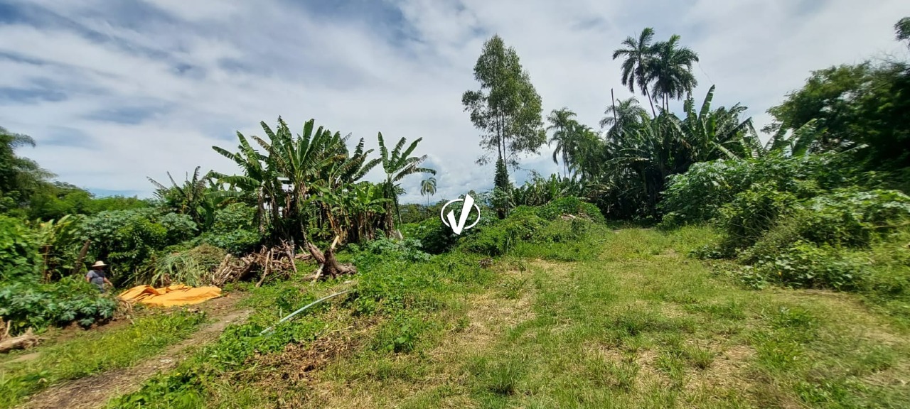 Lote à venda no Campinas: 