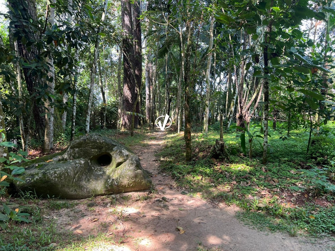 Lote em condomínio à venda no Horto Florestal: 
