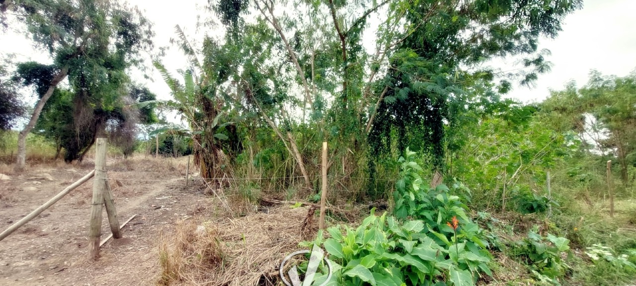 Casa à venda no Jardim Boa Vista: 