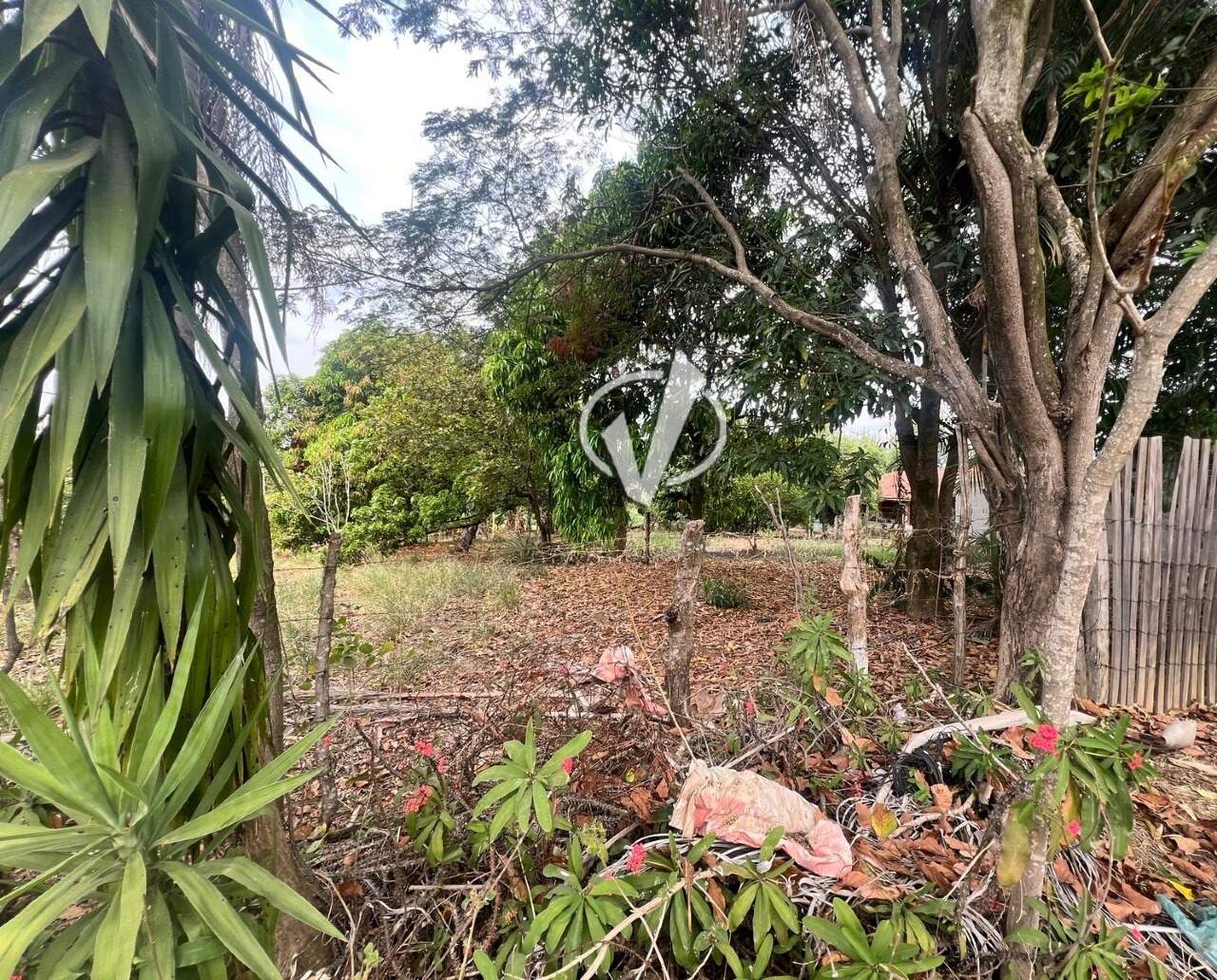 Lote à venda no Parque Shangrilá: 