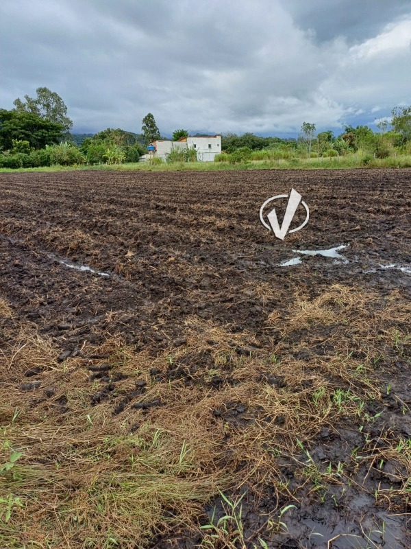 Lote à venda no Bom Sucesso: 