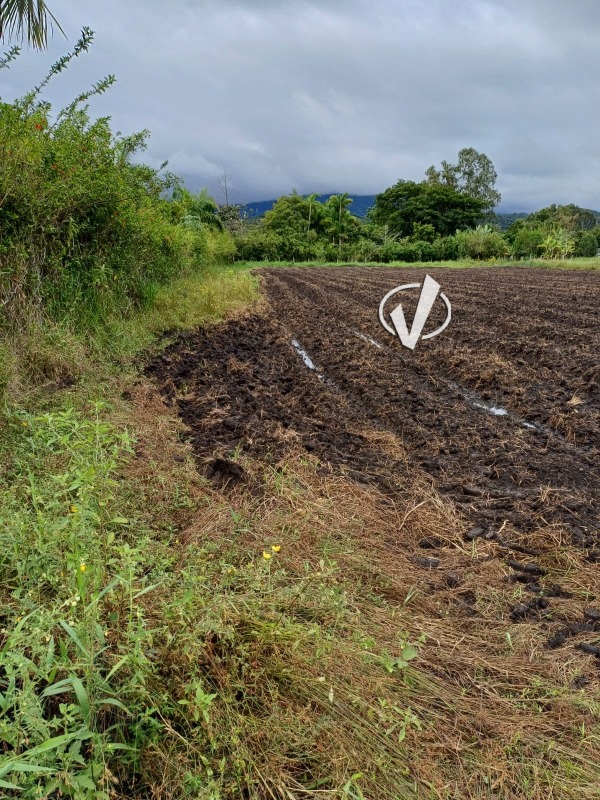 Lote à venda no Bom Sucesso: 