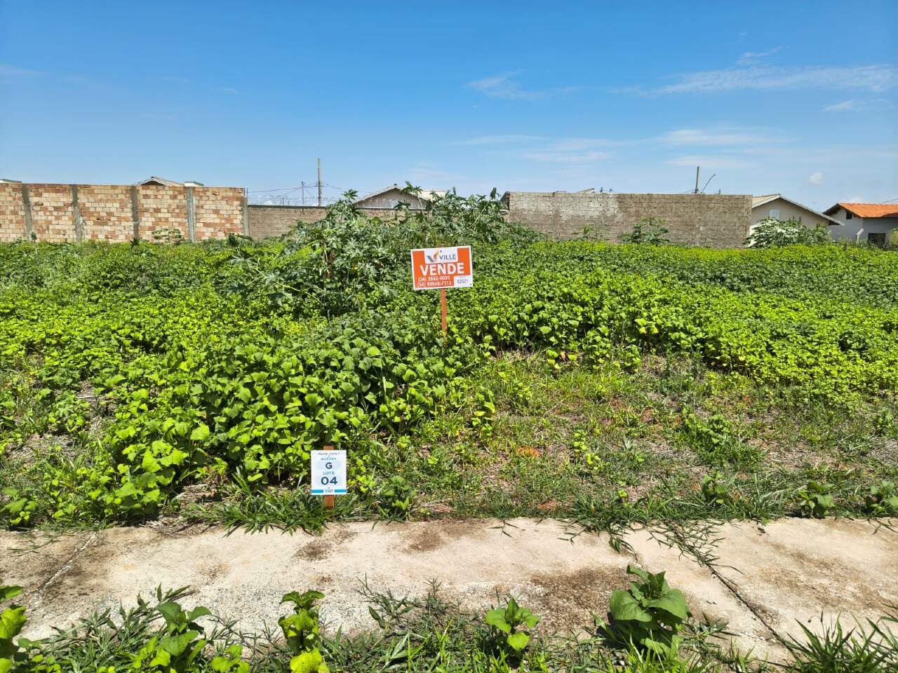 Lote à venda no Monte Carlo I: 