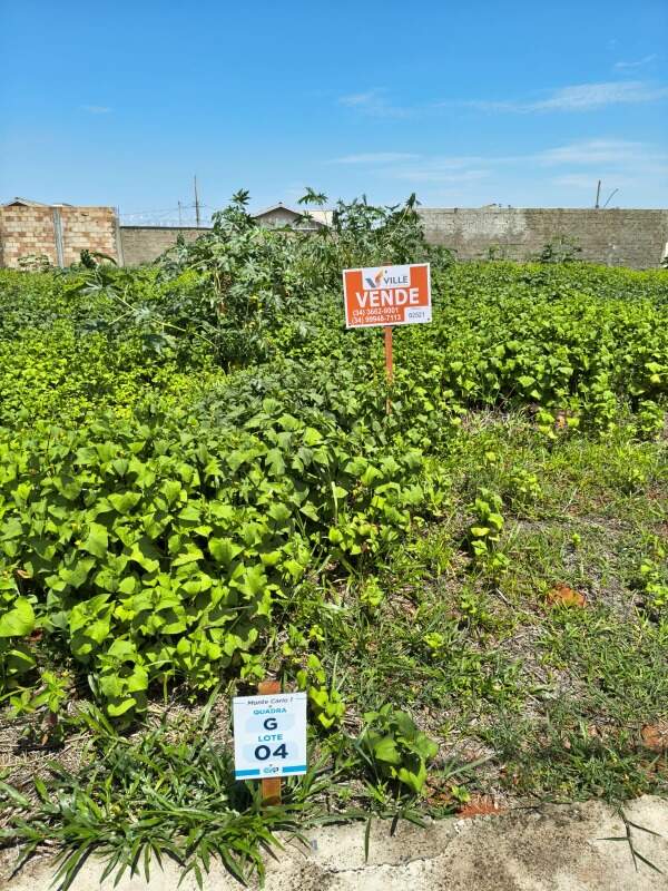 Lote à venda no Monte Carlo I: 