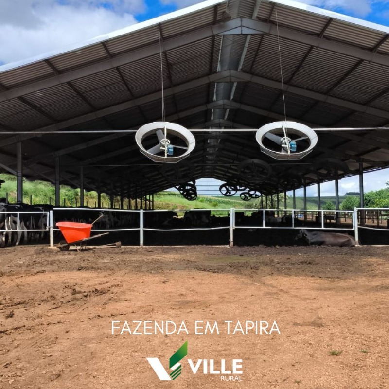 Fazenda à venda no Área Rural : 