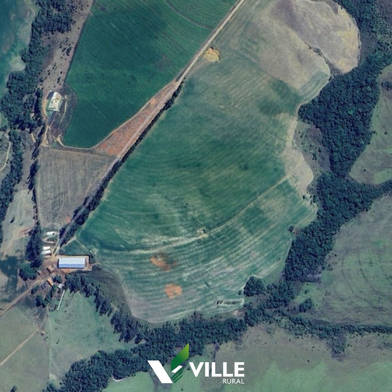 Fazenda à venda no Área Rural : 