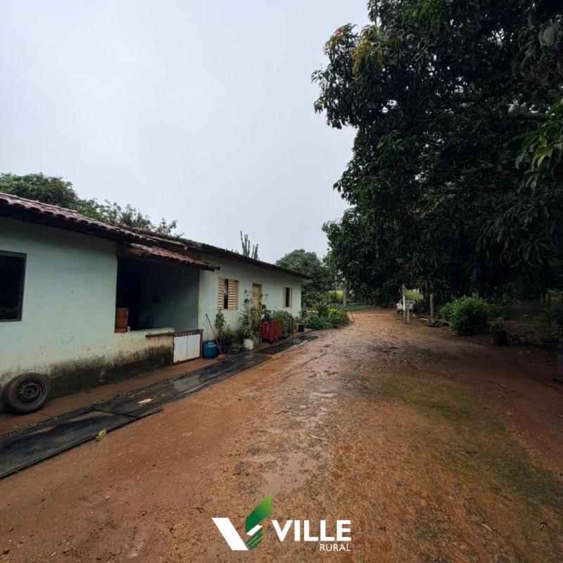 Fazenda à venda no Área Rural : 