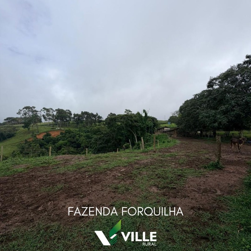 Fazenda à venda no Área Rural : 