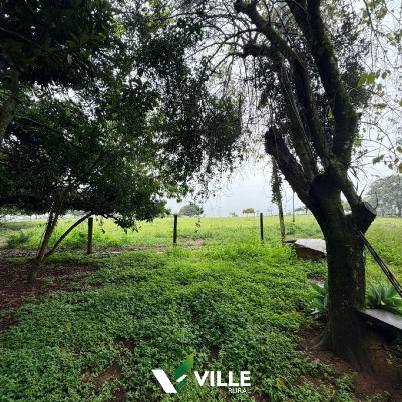 Fazenda à venda no Área Rural : 