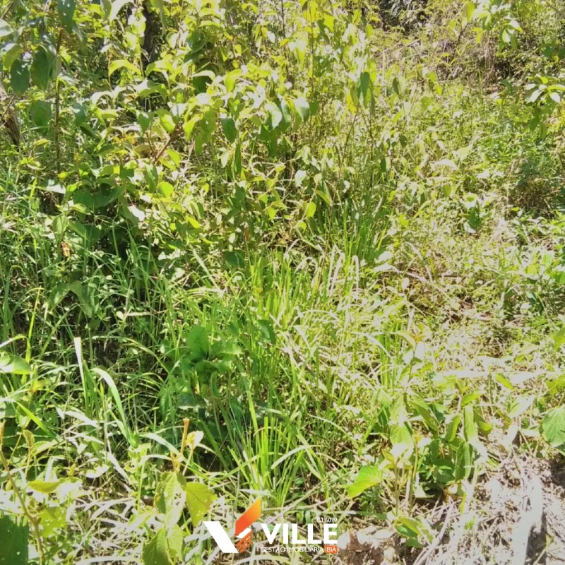 Rural à venda no Área Rural: 