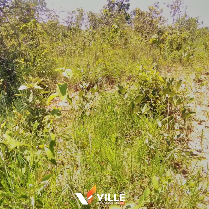 Rural à venda no Área Rural: 