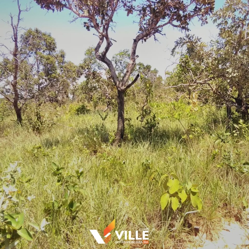 Rural à venda no Área Rural: 