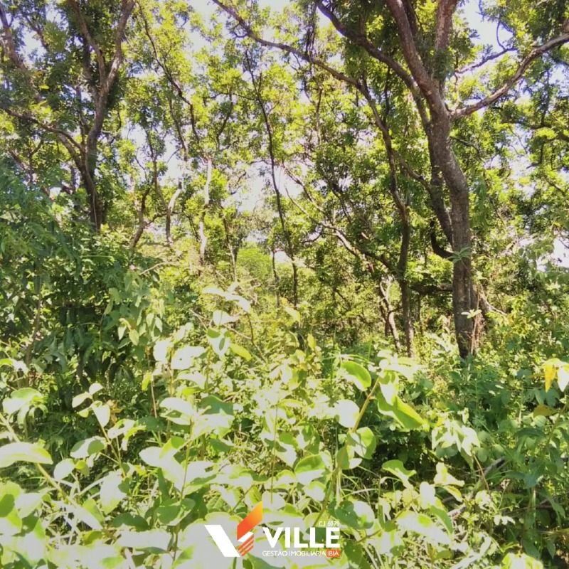 Rural à venda no Área Rural: 