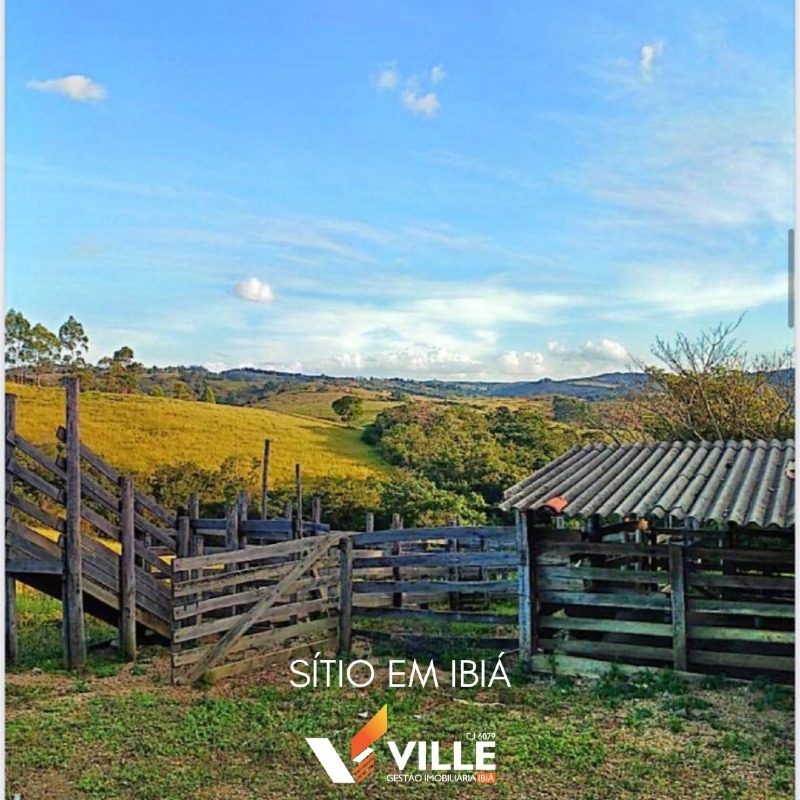 Sítio à venda no Area Rural: 