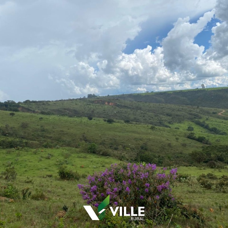 Rural à venda no Área Rural : 