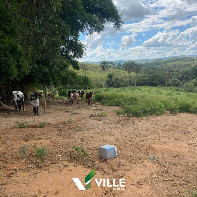 Rural à venda no Área Rural : 