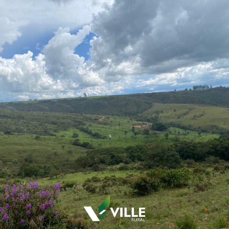 Rural à venda no Área Rural : 