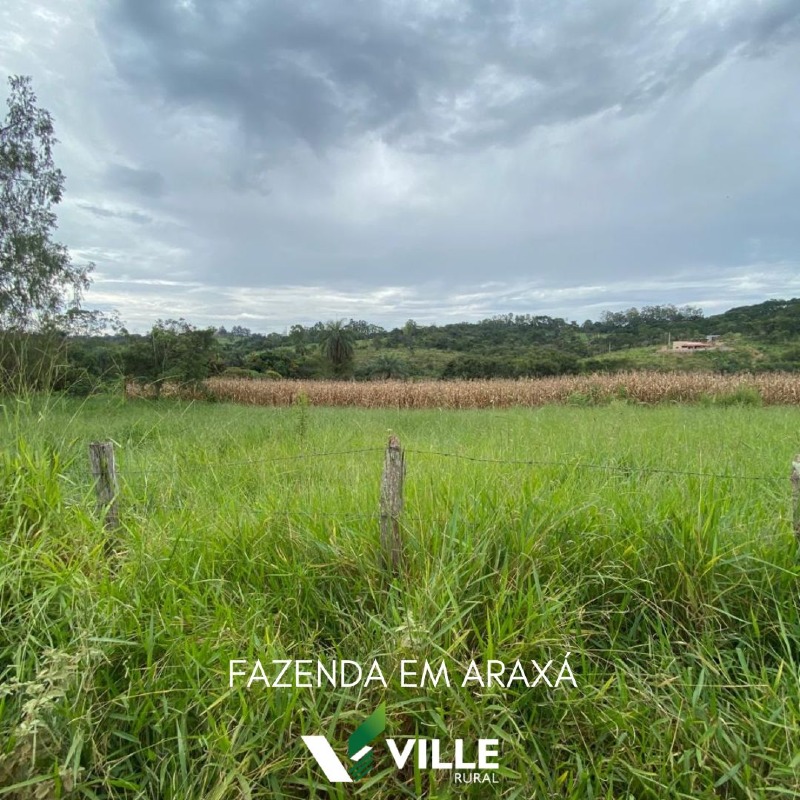 Fazenda à venda no Área Rural : 