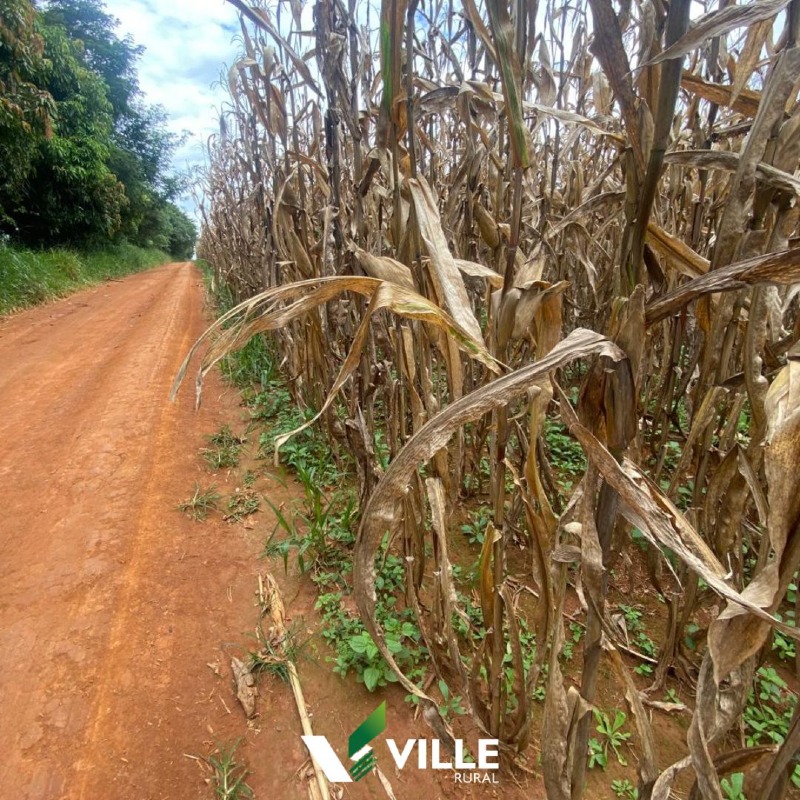 Fazenda à venda no Área Rural : 