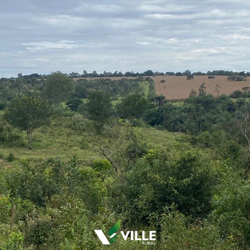 Fazenda à venda no Área Rural : 