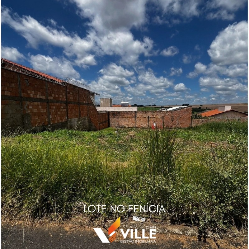 Lote à venda no Fenícia : 