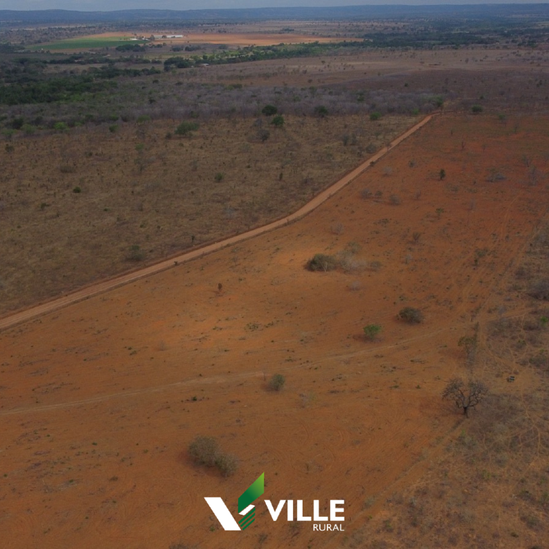 Fazenda à venda no Área Rural : 