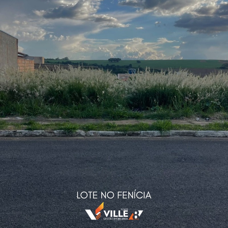 Lote à venda no Fenícia : 