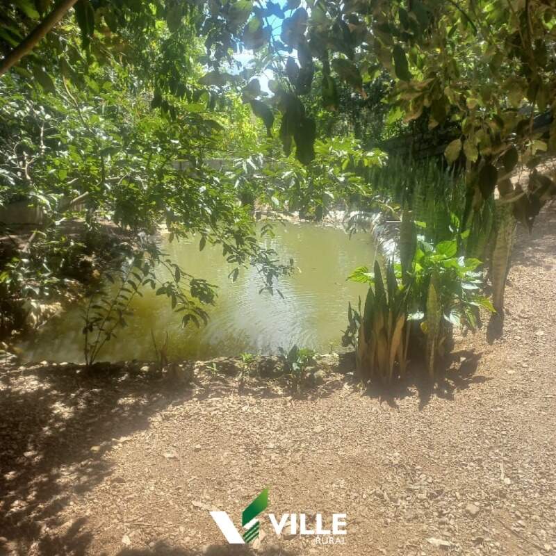 Rural à venda no Área Rural : 
