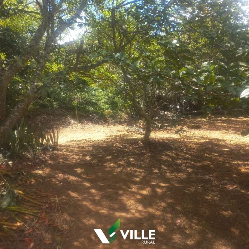 Rural à venda no Área Rural : 