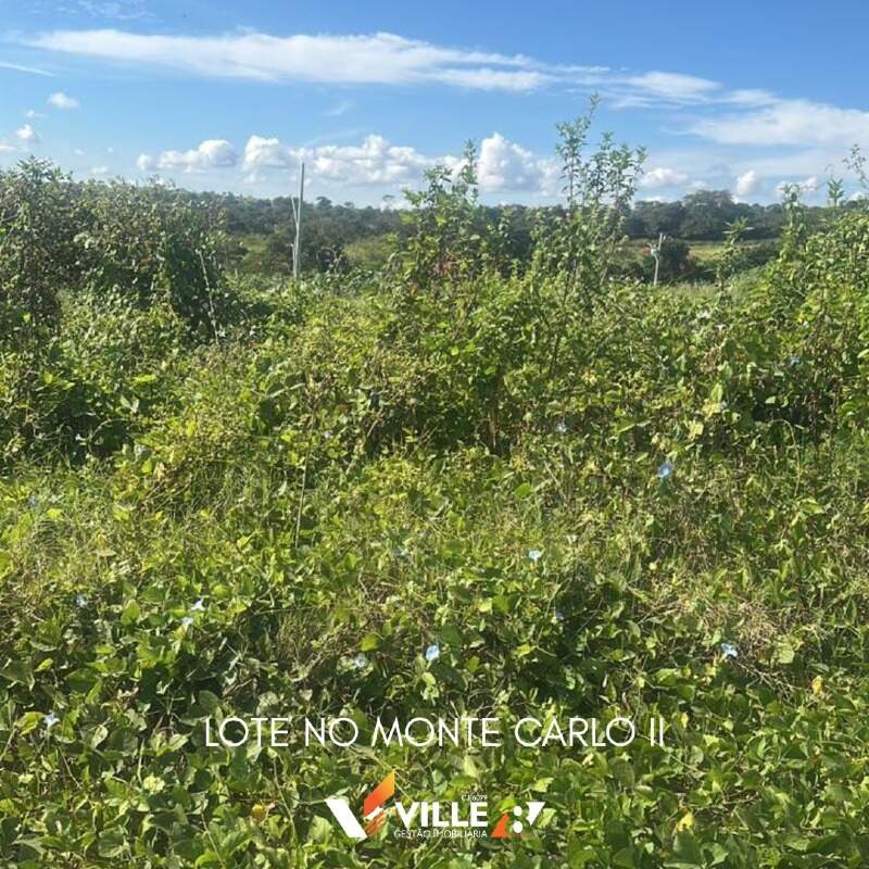 Lote à venda no Monte Carlo II : 