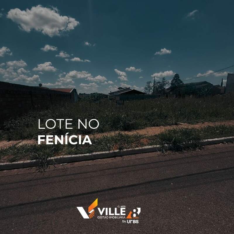 Lote à venda no Fenícia : 