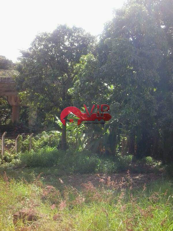 Terreno à venda no Centro: 