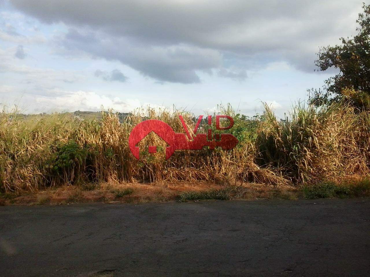 Terreno à venda no Chácara Lasmar: 