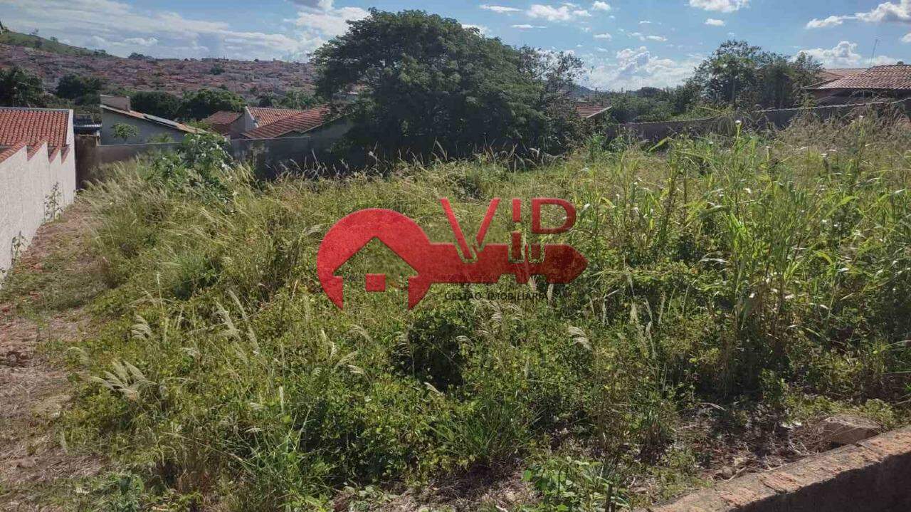 Terreno à venda no Vila Brasil: 